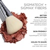 image:imageSigma Beauty Essential Brush Set  Makeup Brushes 12Piece Face amp Eye Kit