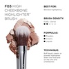 image:imageSigma Beauty F03 High Cheekbone Highlighter Brush Beveled Blending Brush