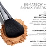 image:imageSigma Beauty F10 PowderBlush Brush Soft Beveled Blending Brush for Cheeks