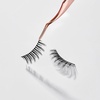 image:imageSigma Beauty False Lashes  Bedroom EyesParamour